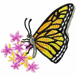 Butterfly Embroidery Design 3 Butterfly Embroidery Design 3